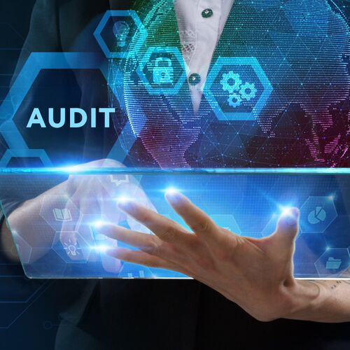 135 security audit services 3